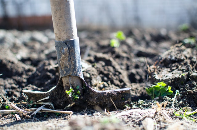 Outside Gardening